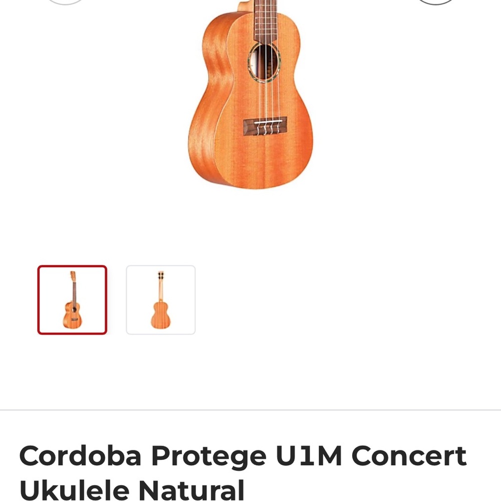 Brown Concert Ukulele - Picture 6 of 6